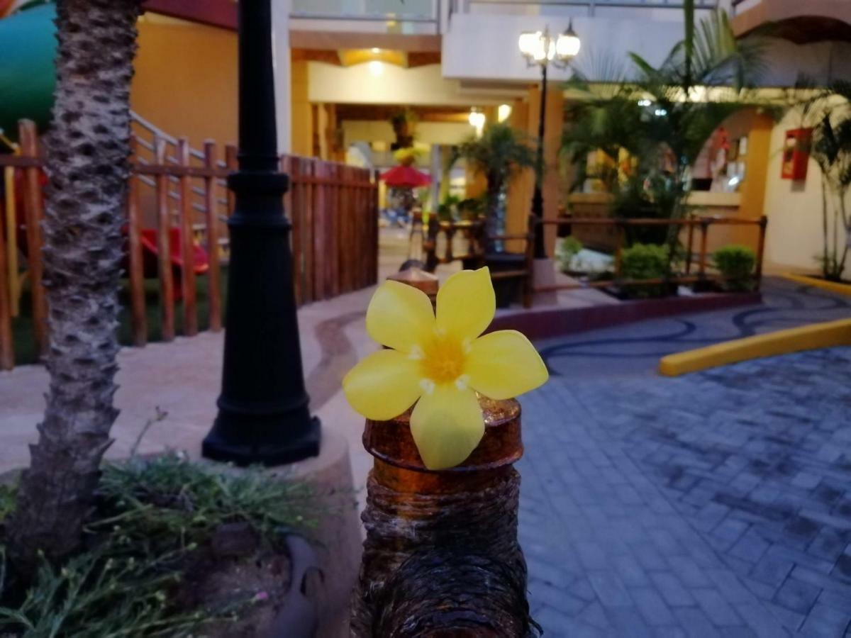 Marysol Las Palmas Rincon de Guayabitos Luaran gambar